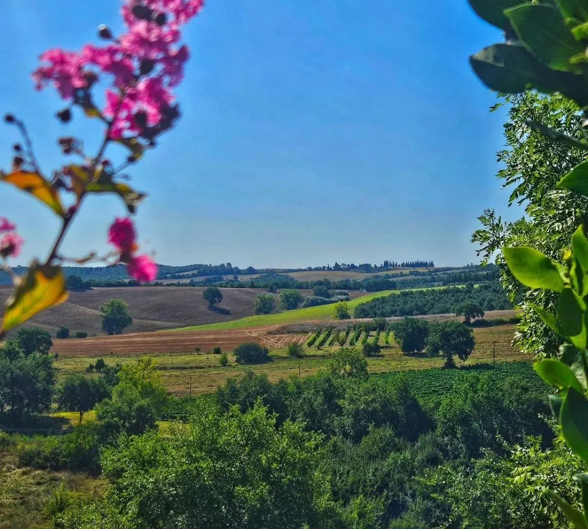 Country Charm & Jacuzzi Villa Camporsevoli 0*,